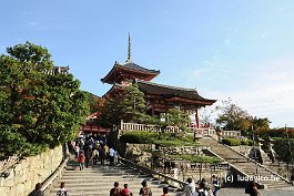 KYOTO_DSC4612