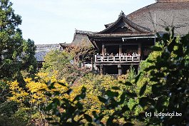 KYOTO_DSC4747