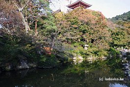 KYOTO_DSC4791