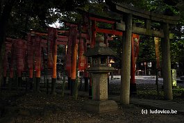 KYOTO_DSC4008