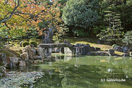 KYOTO_DSC3724