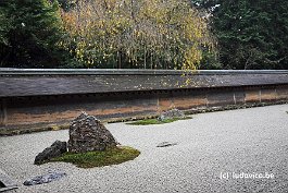 KYOTO_DSC6539