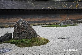 KYOTO_DSC6542