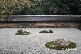 KYOTO_DSC6555