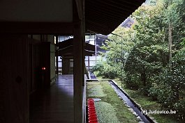 KYOTO_DSC6587