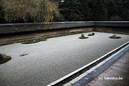 KYOTO_DSC6602