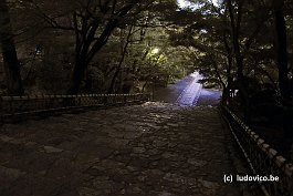 KYOTO_DSC6610