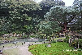 KYOTO_DSC6067