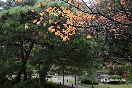 KYOTO_DSC6117