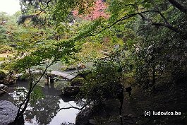 KYOTO_DSC6143