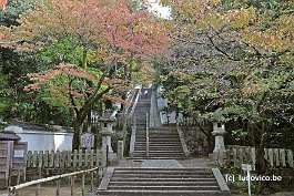 KYOTO_DSC6240