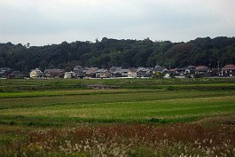 MATSUE_IMG0796