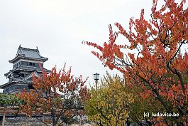 MATSUMOTO_DSC8003