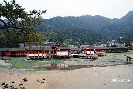 MIYAJIMA_DSC3265