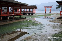 MIYAJIMA_DSC3304