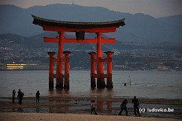 MIYAJIMA_DSC3440