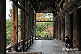 MIYAJIMA_DSC3209