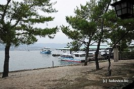 MIYAJIMA_DSC3164