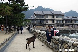 MIYAJIMA_IMG1122