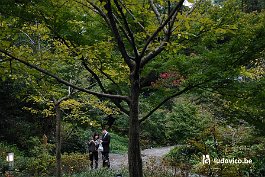 NAGOYA_DSC7246