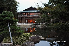 NAGOYA_DSC7302
