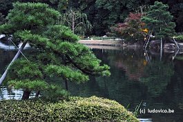 NAGOYA_DSC7306
