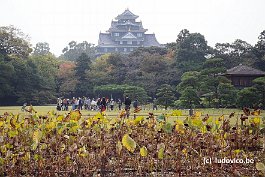 OKAYAMA_DSC3071