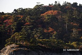 MATSUSHIMA_DSC8393B