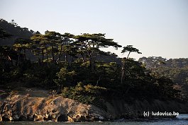 MATSUSHIMA_DSC8415