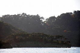 MATSUSHIMA_DSC8419