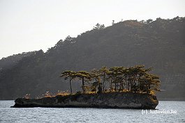 MATSUSHIMA_DSC8435