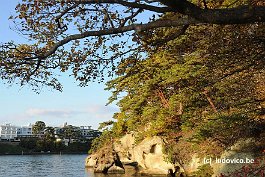 MATSUSHIMA_DSC8458