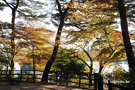 MATSUSHIMA_DSC8466