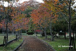 MATSUSHIMA_DSC8524