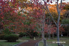 MATSUSHIMA_DSC8525