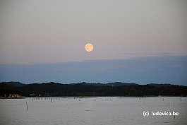 MATSUSHIMA_DSC8538