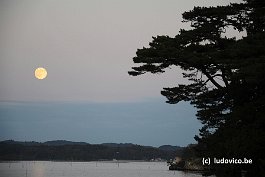 MATSUSHIMA_DSC8562