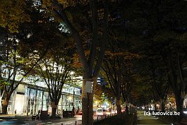 SENDAI_DSC8243