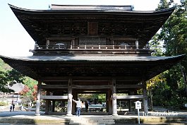 KAMAKURA_DSC10150