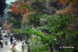 KAMAKURA_DSC10179