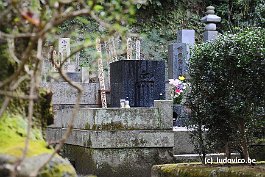 KAMAKURA_DSC10273