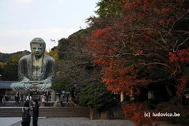 KAMAKURA_DSC10506