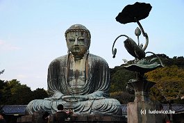 KAMAKURA_DSC10514