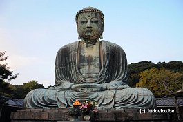 KAMAKURA_DSC10516