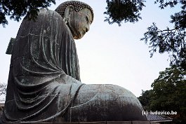 KAMAKURA_DSC10531