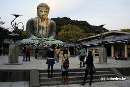 KAMAKURA_DSC10557