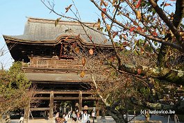 KAMAKURA_DSC10344