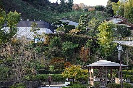 KAMAKURA_DSC10373