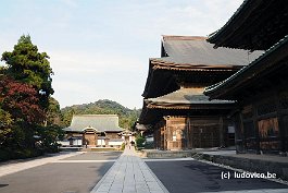 KAMAKURA_DSC10398