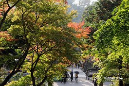 KAMAKURA_DSC10295